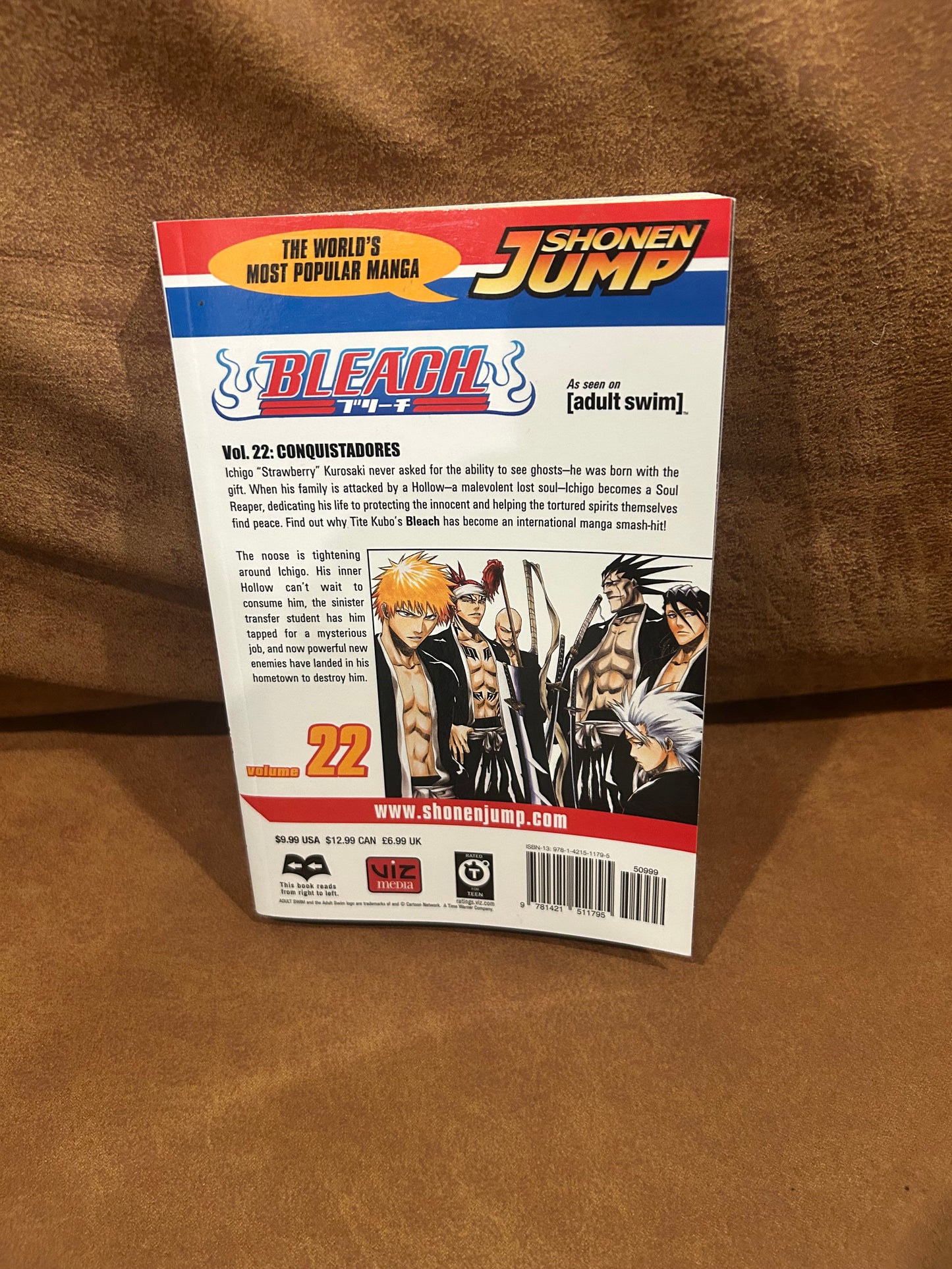 Bleach Volume 22 - Tite Kibo*