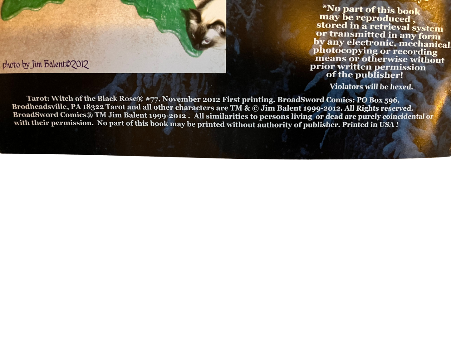 Tarot by Jim Balent (#77 Nov 2012 second copy available) (18+)
