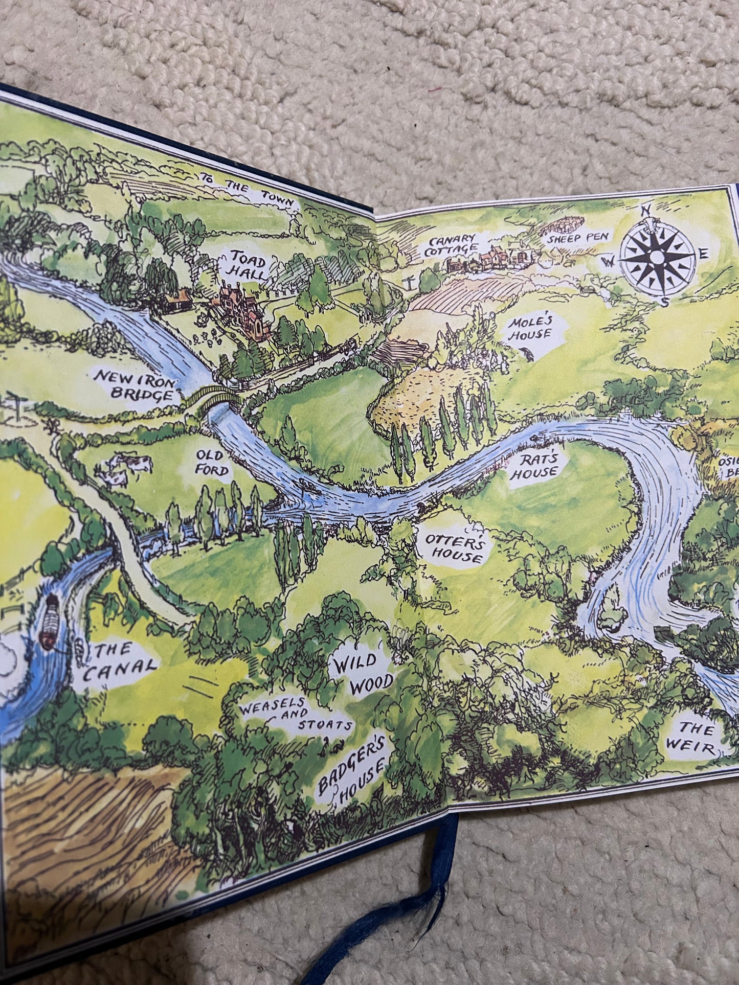 The Wind in the Willows, The Classic Edition, Circa 1998 with Illustrations