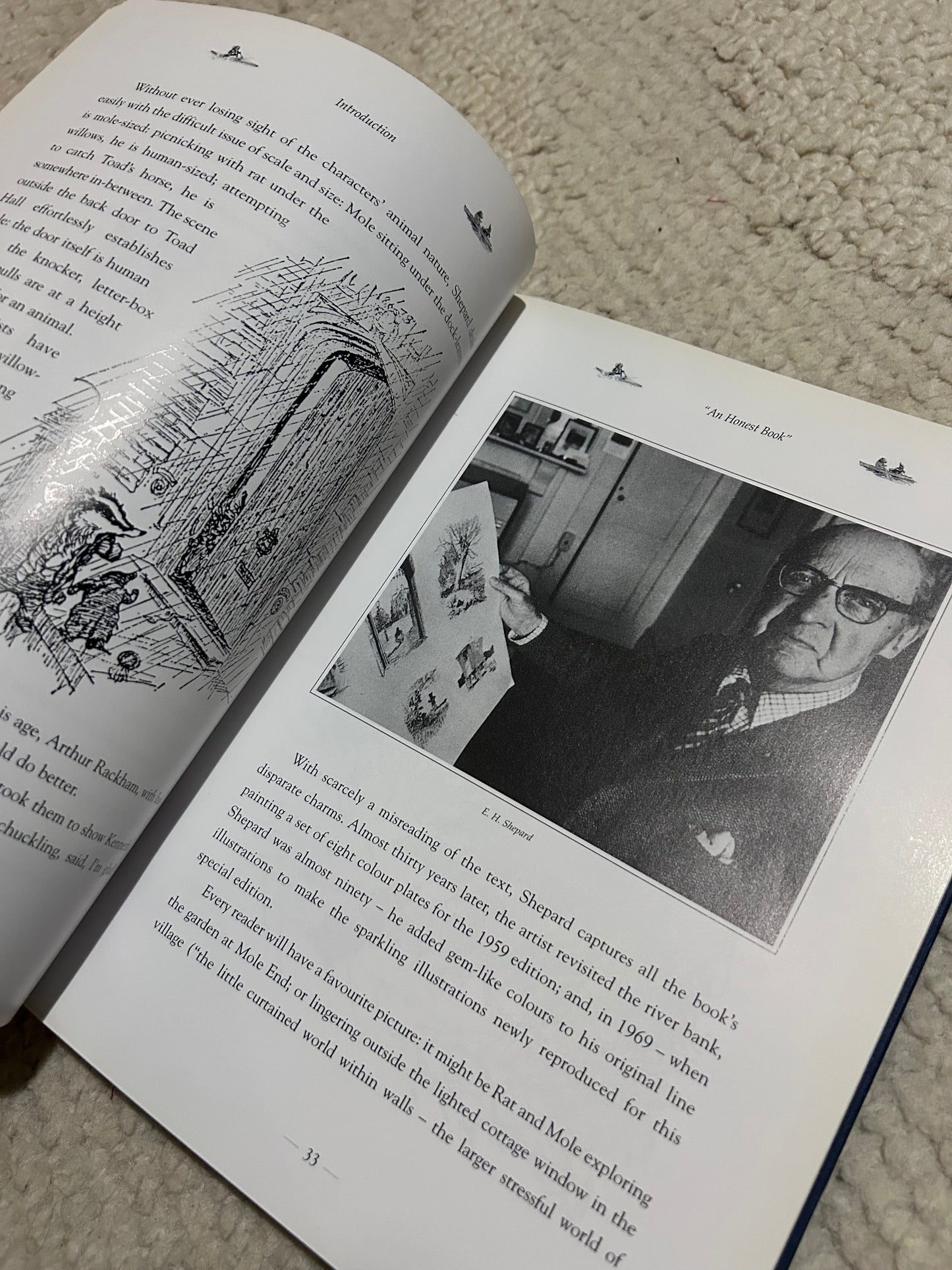 The Wind in the Willows, The Classic Edition, Circa 1998 with Illustrations