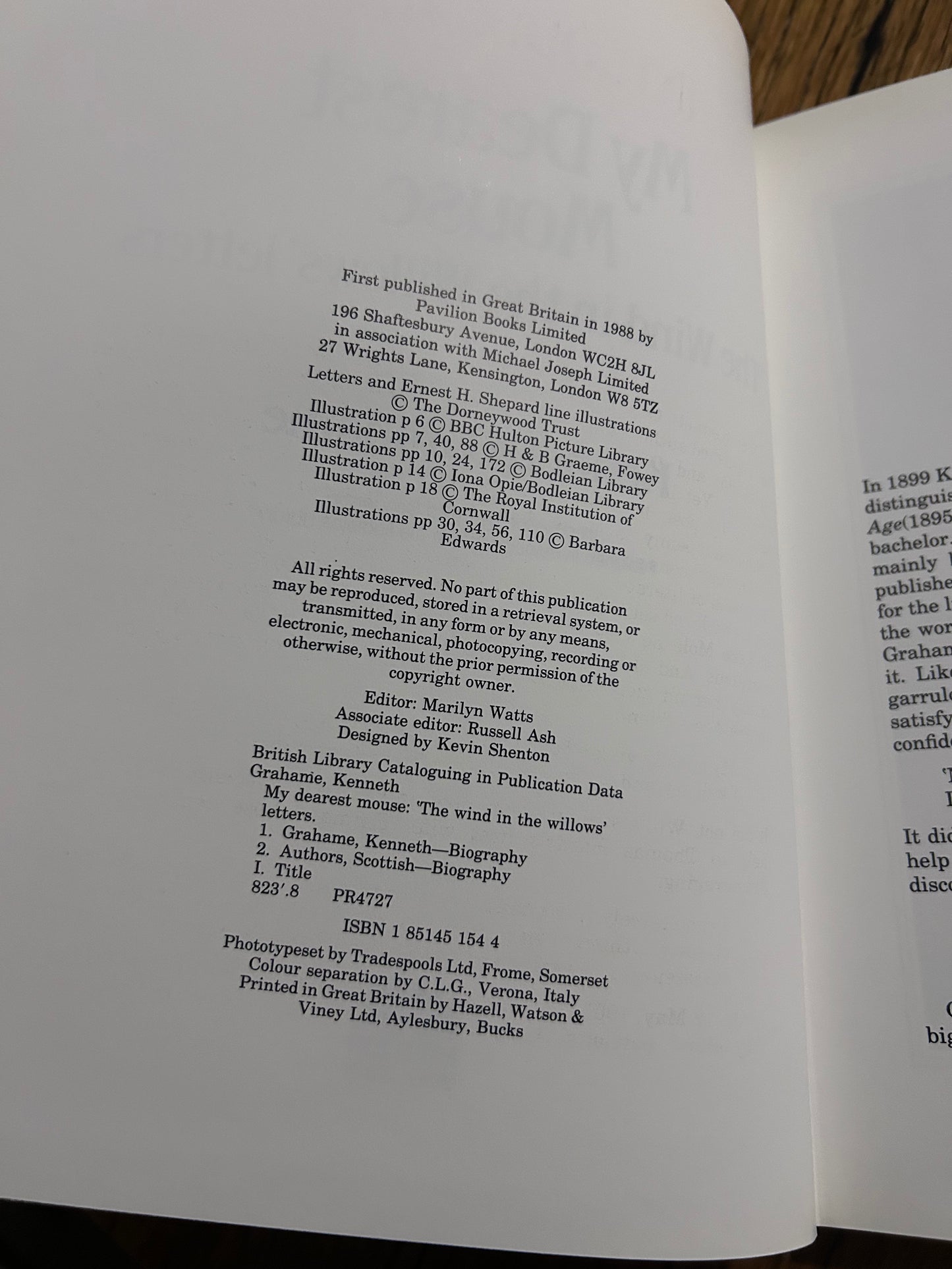 My Dearest Mouse - The Wind in the Willows letters